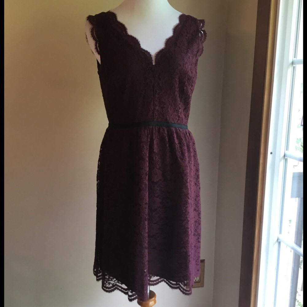 LOFT Burgundy Lace Dress
